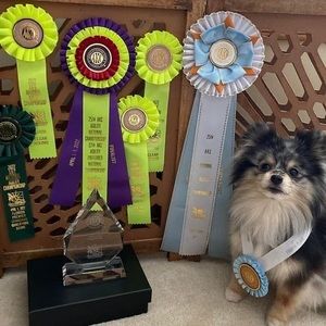 Meet your Posher, Kat